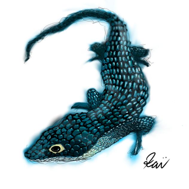 アブロニア（Abronia Graminea）