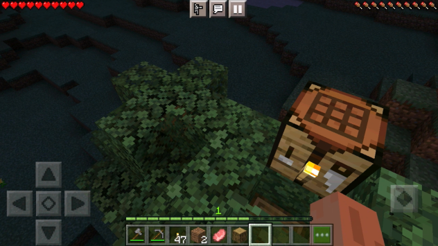 Playing minecraft