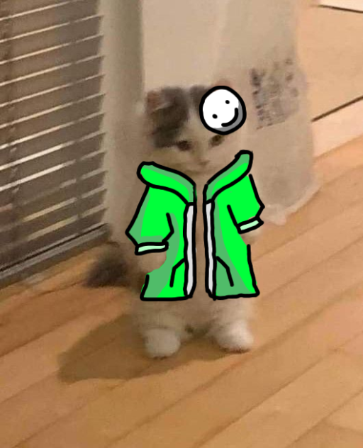 cat standing dream meme