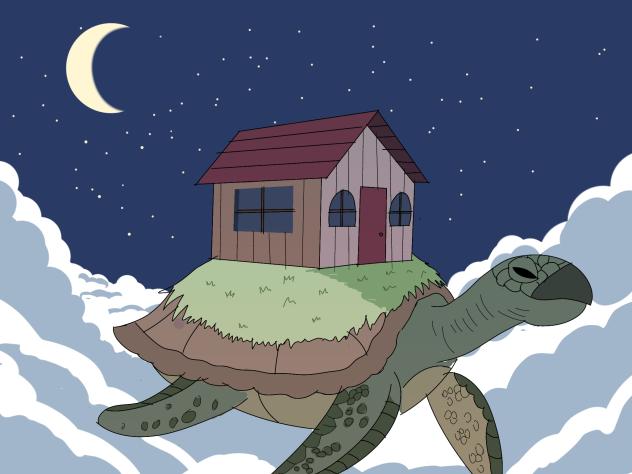 Turtle in sky night2