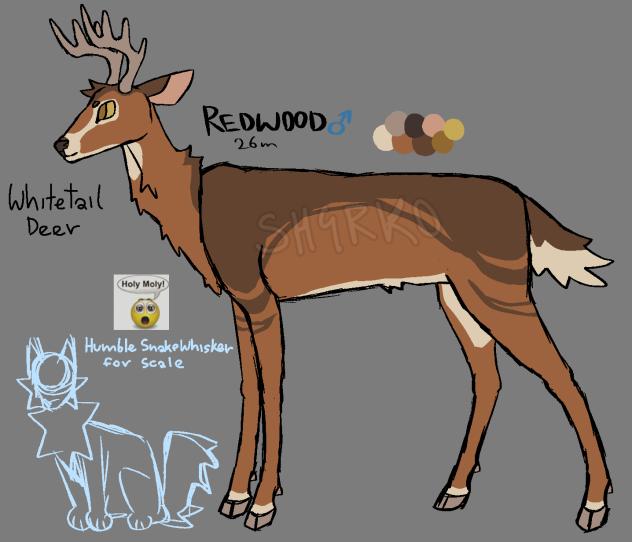 Redwood ref ✌️