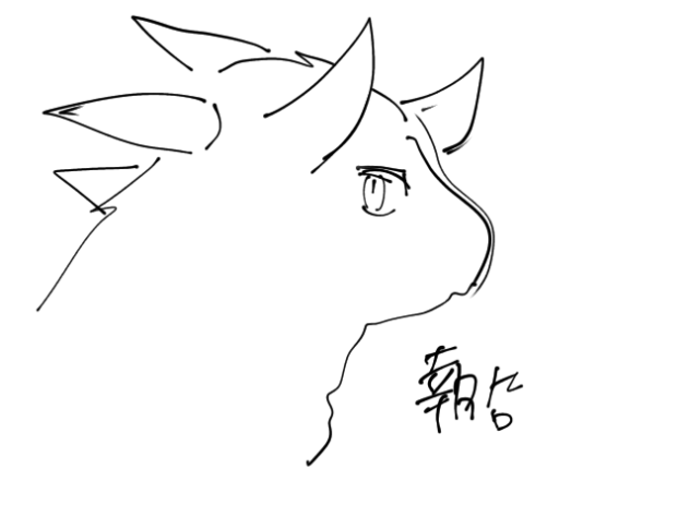 報告