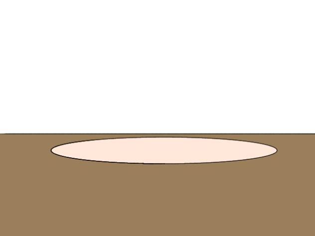 カフェ猫ちゃん
