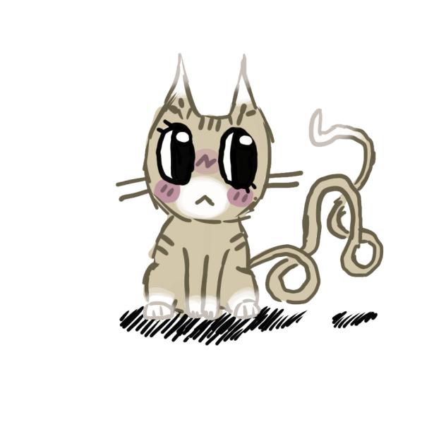 Gato Cílios