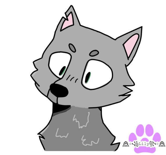 Koda! New wolf OC don’t steal!