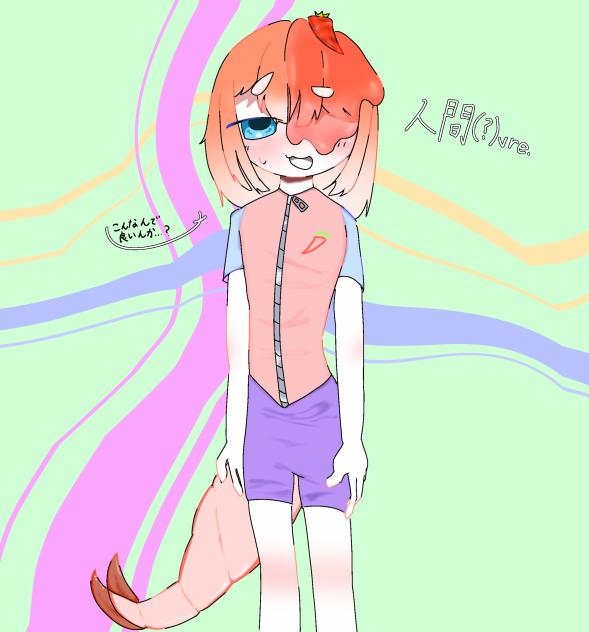あってんのか､､