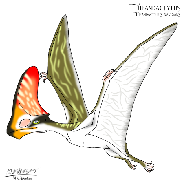 Tupandactylus navigans