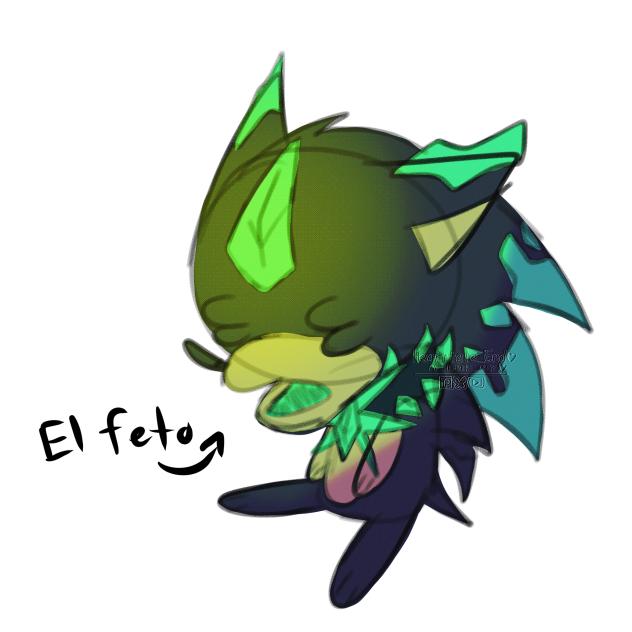 El feto