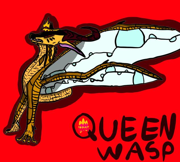 Queen wasp!!!!