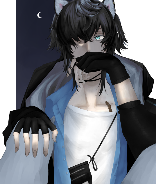 ストル・グラシニー