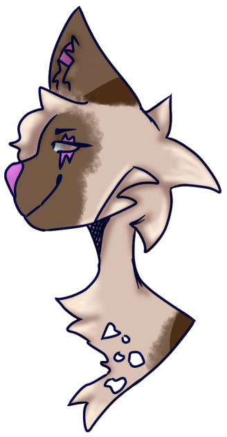 hawkfrost again
