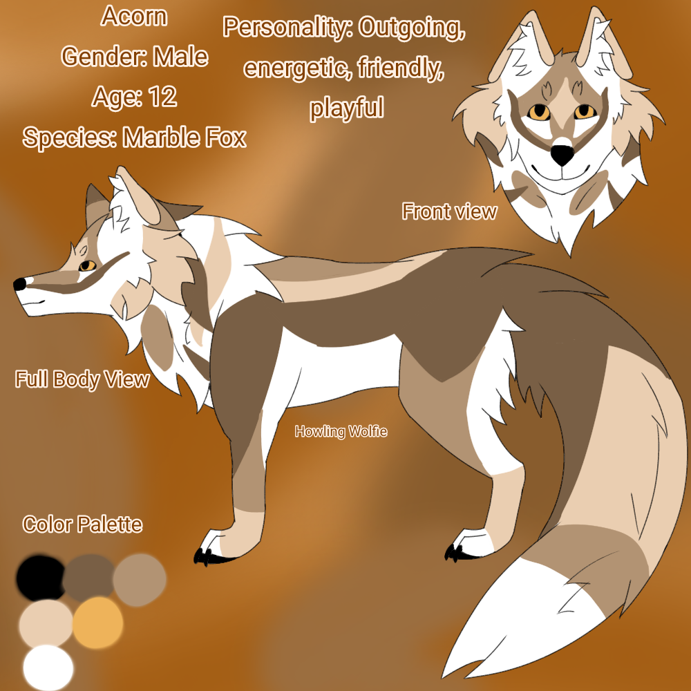 Acorn Reference Sheet - ibisPaint