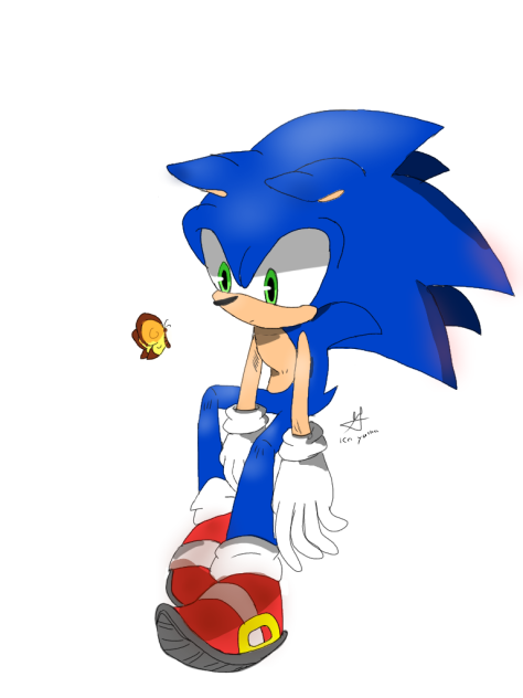 sonic and butterfly with colors