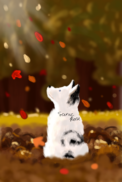 Autumn Dog