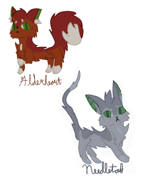 Alderheart and Needletail Designs
