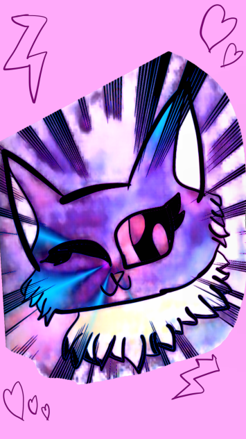 Amazing cat