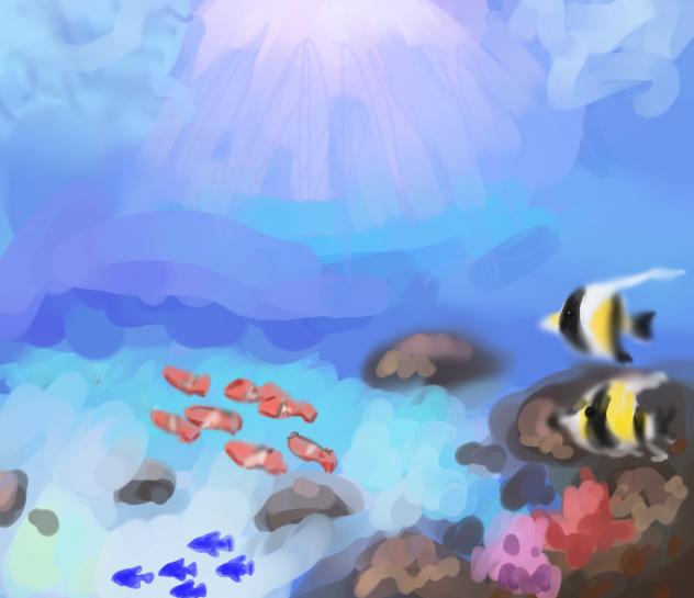 海だー
