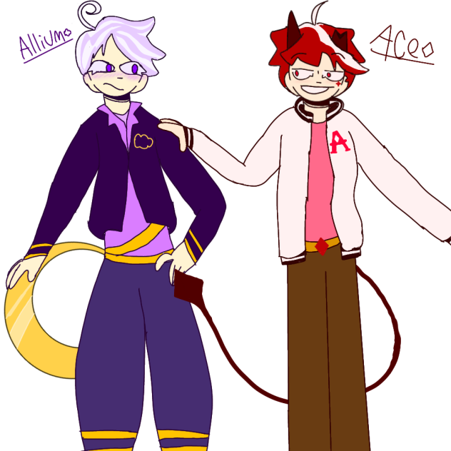 Allium x Ace (Allice)