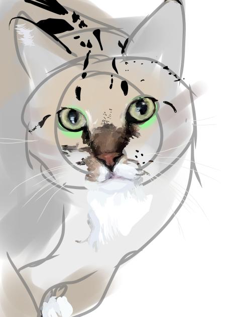 Kitty ️‍🩹 - ibisPaint