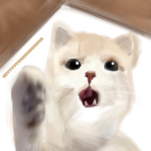 KITTYYYUHHHUUHUHUHUH