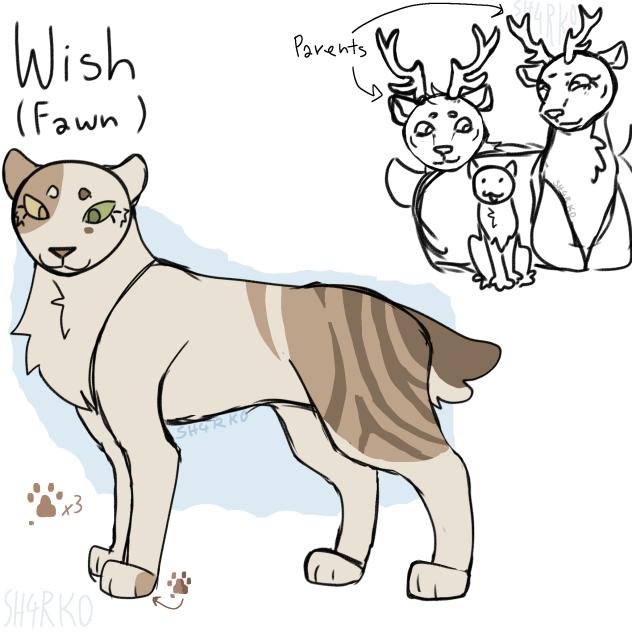 Wish Fawn ❗❕🦌