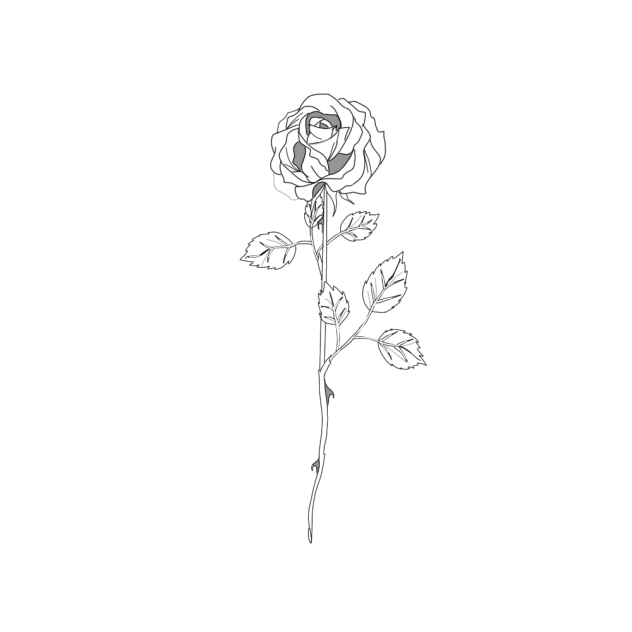白黒の薔薇