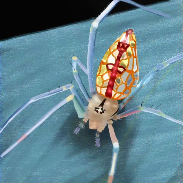 mirror spider