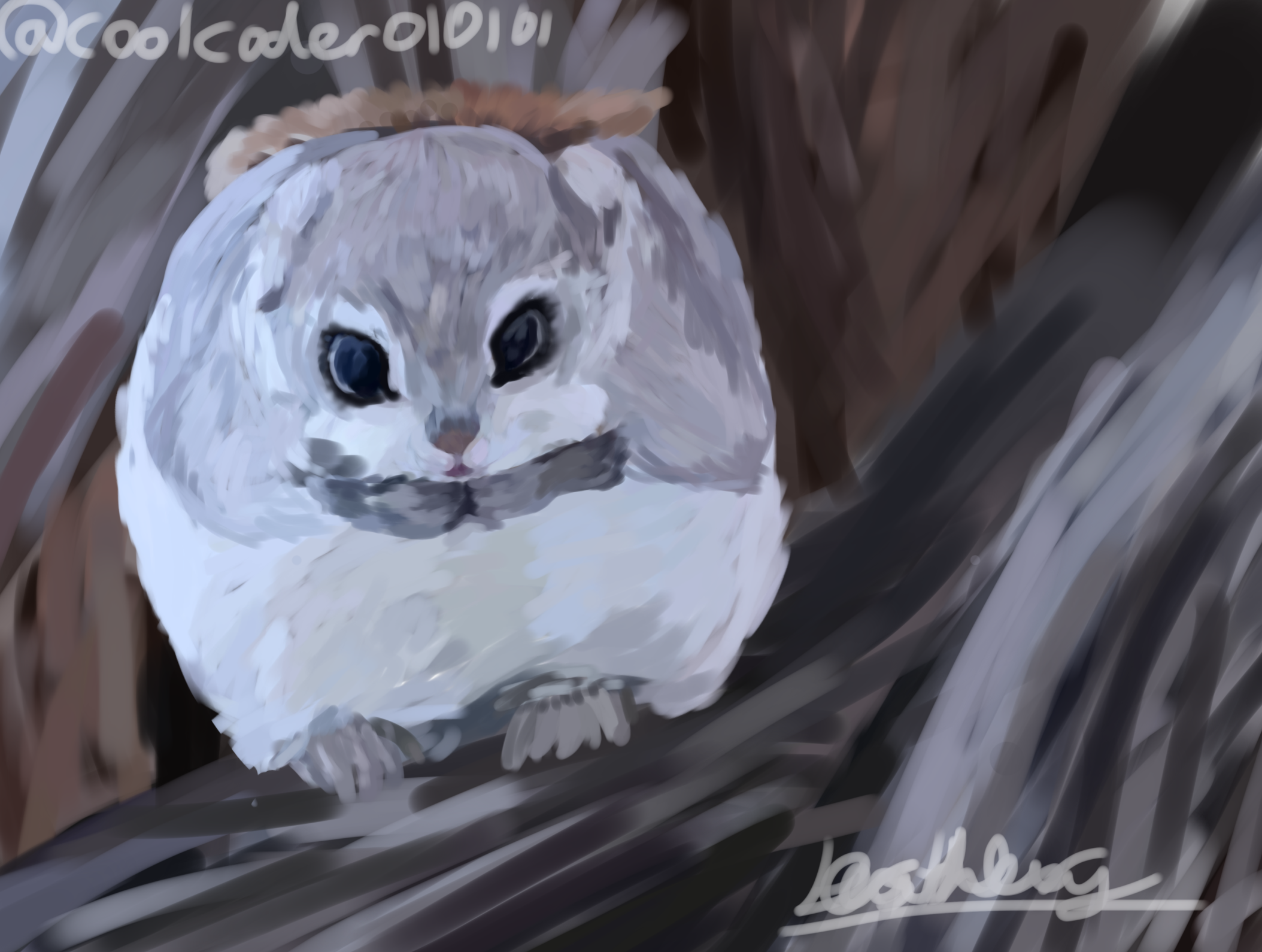 Lil squirrel - ibisPaint