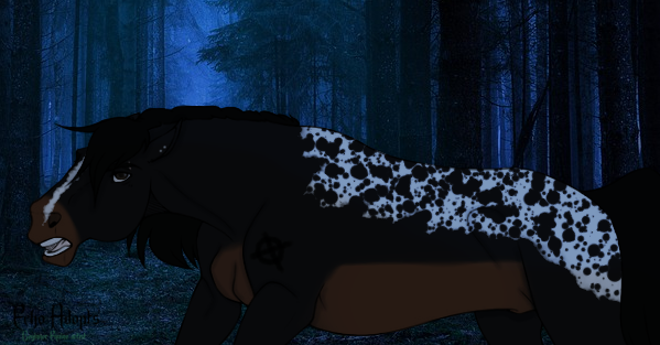 `` I wont listen to you, Nox. ``