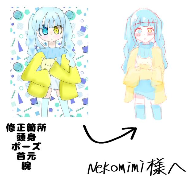 Nekomimi様添削