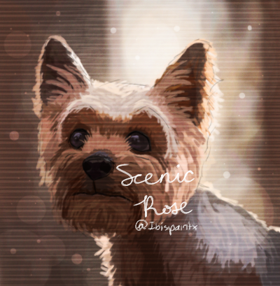 Untitled595 ScenicRose Ibispaint