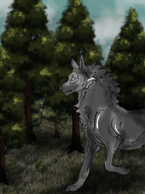 Wolf