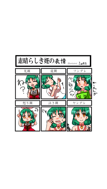 素晴らしき姫の表情