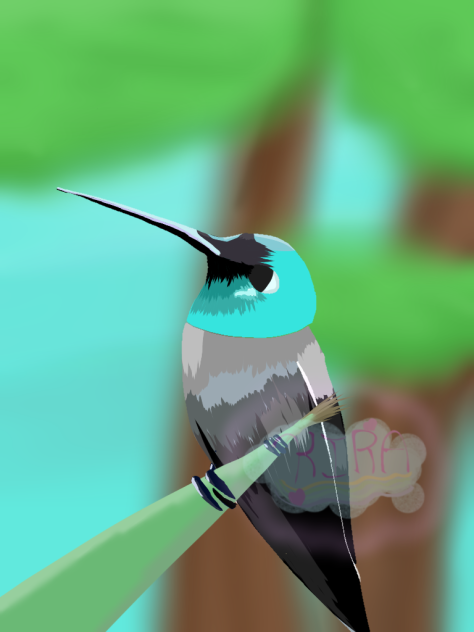 🌺hummingbird🌺
