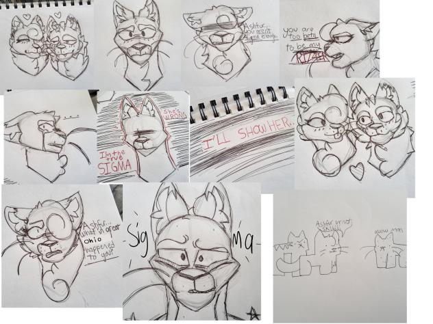 brainrot warrior cat art