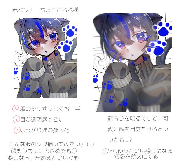 赤ペン２　ちょこころね様