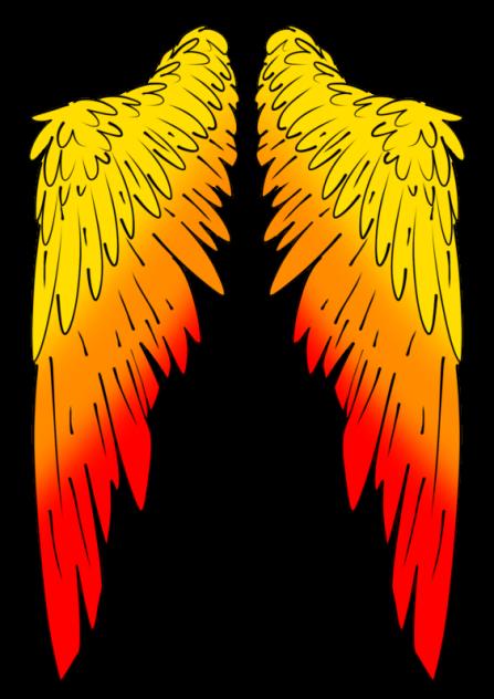 Wings of Fire