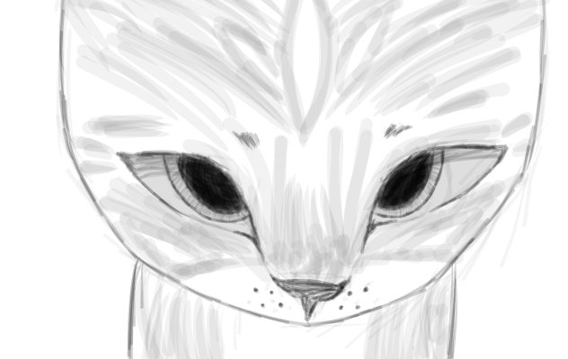 Forehead