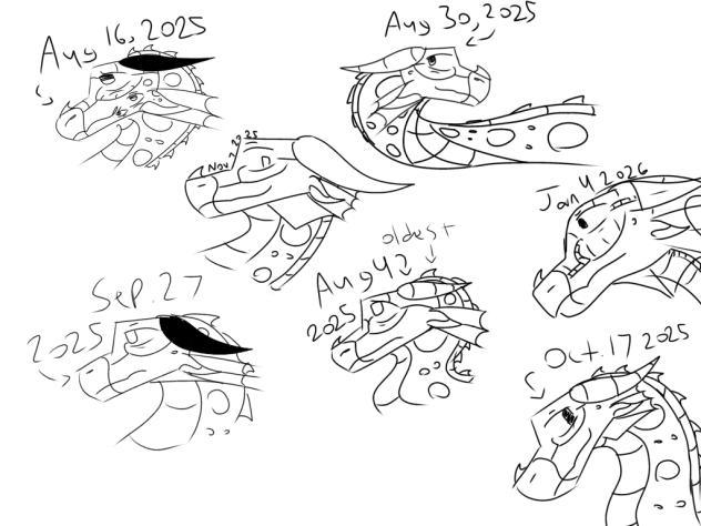 I m p r o v e m e n t