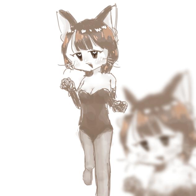 無題2388