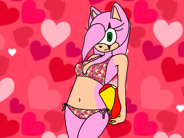 An Awesome Beach Day Amy The Hedgie
