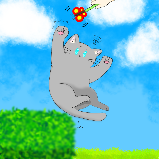 猫