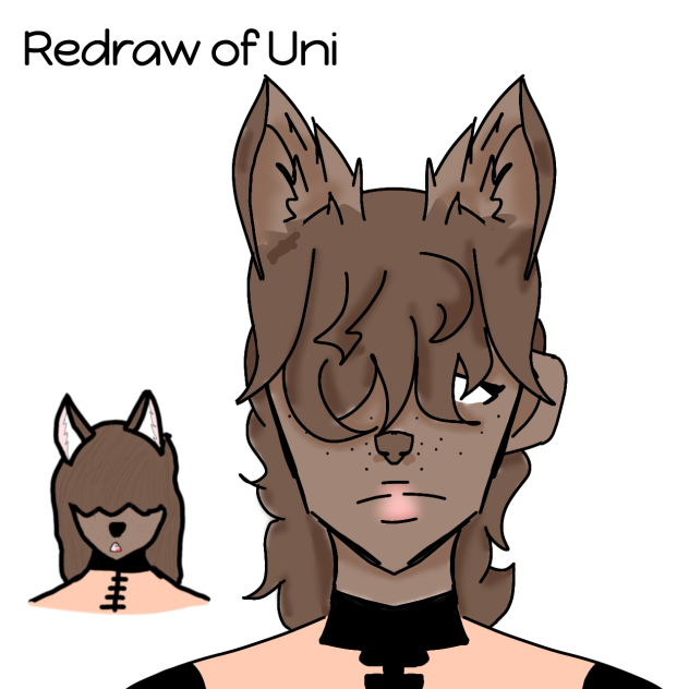 redraw of uni