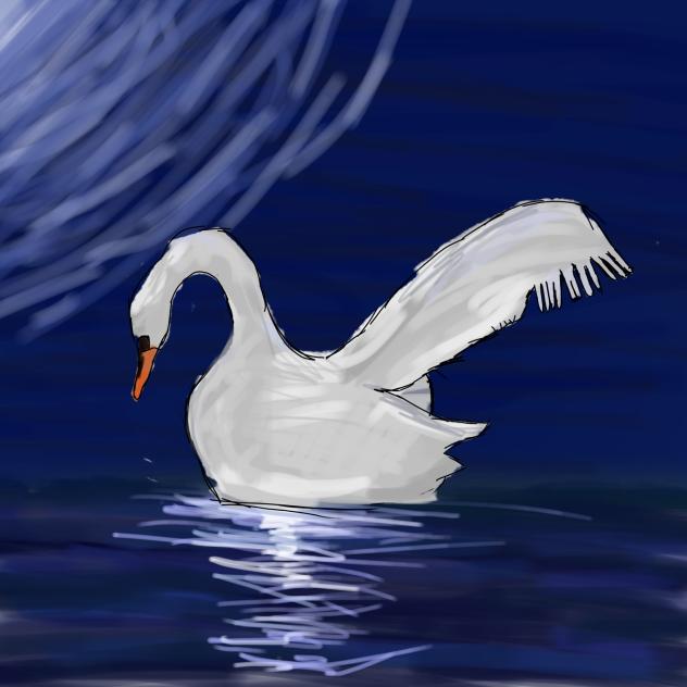 Swan 🦢