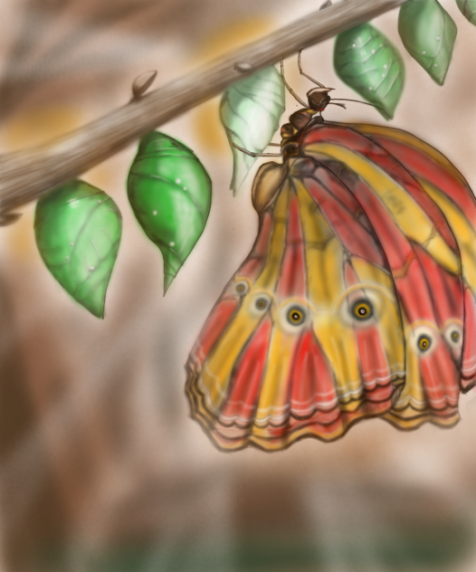Butterfly - ibisPaint