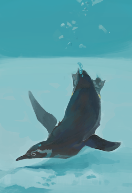 マゼランペンギン