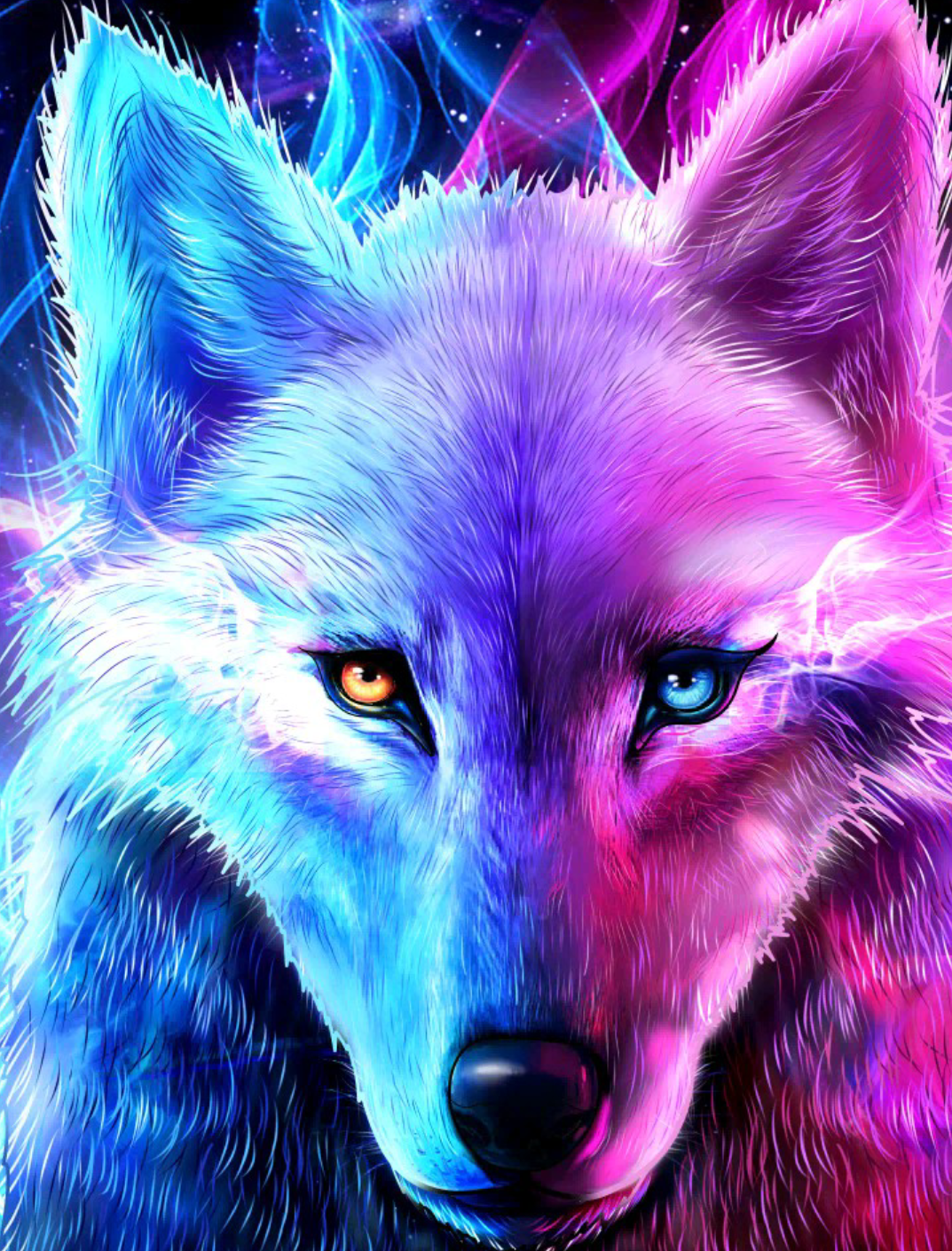 wolf 🐺 - ibisPaint