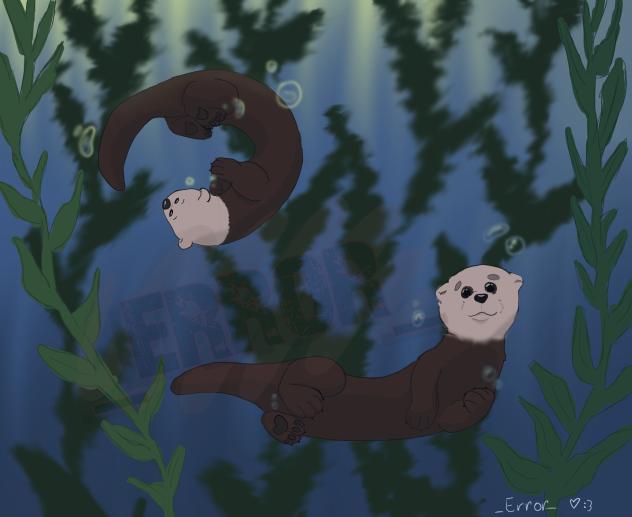 sea otters