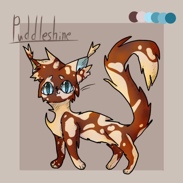 Number 10, Puddleshine