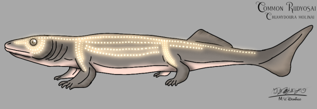 Common Rudyosai (2023) glow